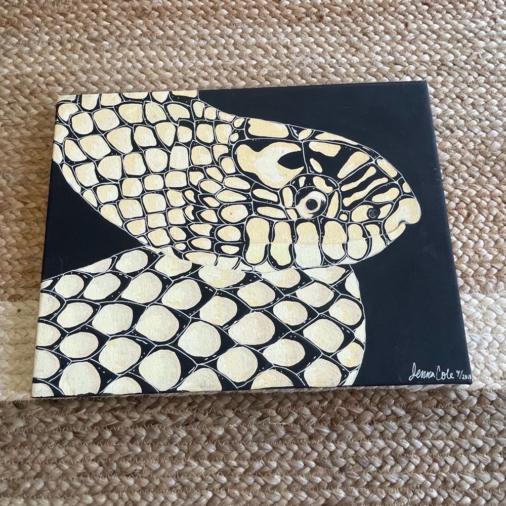 Hand Painted King Snake